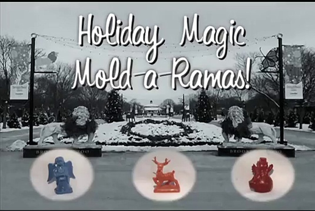 Holiday Mold-A-Ramas at Karoo Black-footed Cat Playing in Fragile  Hippo Plays it Cool in the Pool  and Dolphin Shows Brookfield Zoo