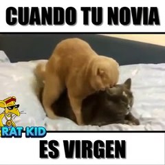 CUANDO TU NOVIA ES VIRGEN  (Vídeos Chistosos para whatsapp 2015)
