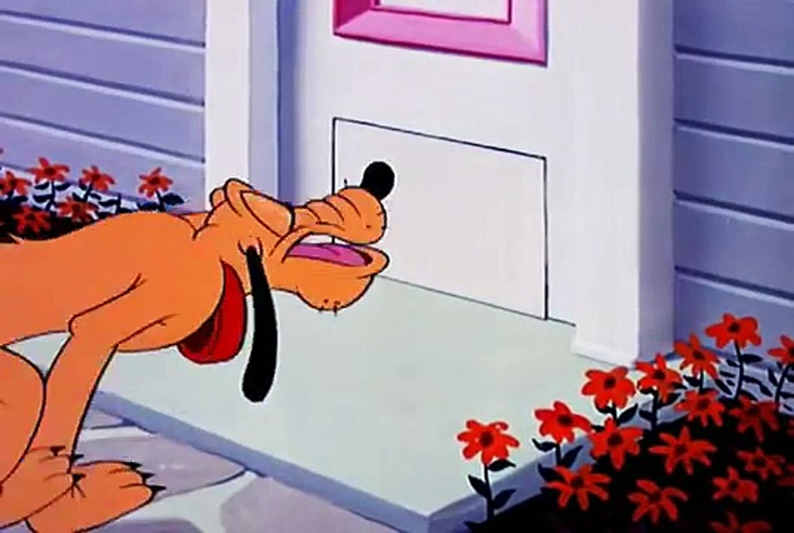 Cat Nap Pluto (1948) - Dailymotion Video