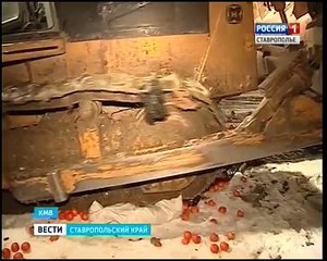 Rusya, Türkiye'den gitirilen mandalinaları buldozerle ezdi