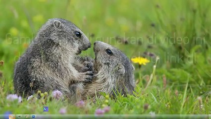 Photoshop tricks - How to Build a Cool Tattoo Effects