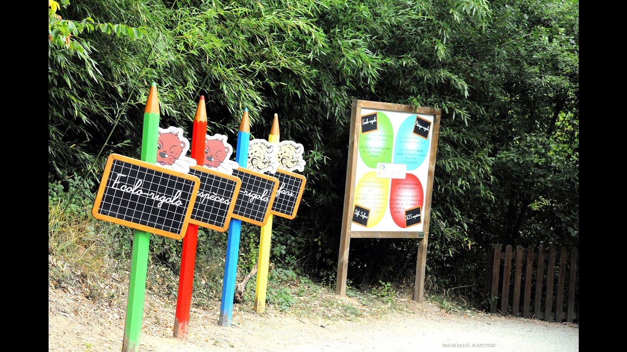 ©HD SAFARIDEPEAUGRESàpieds1 été2013MartineANCIAUXphotographed'artcréatricedelaphoto-peinturemondetvxebnature©