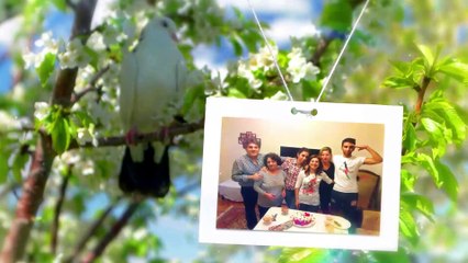 düğün slaytı örnekleri (20)