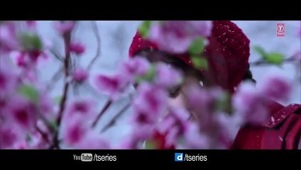 SANAM RE  (VIDEO SONG) - Pulkit Samrat, Yami Gautam, Urvashi Rautela, Divya Khosla Kumar By Arijit singh -720P