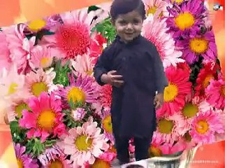 Amin Ulfat New Pashto Song 2015 - Musafari Ke Yam