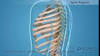 how  work by human bones must watch