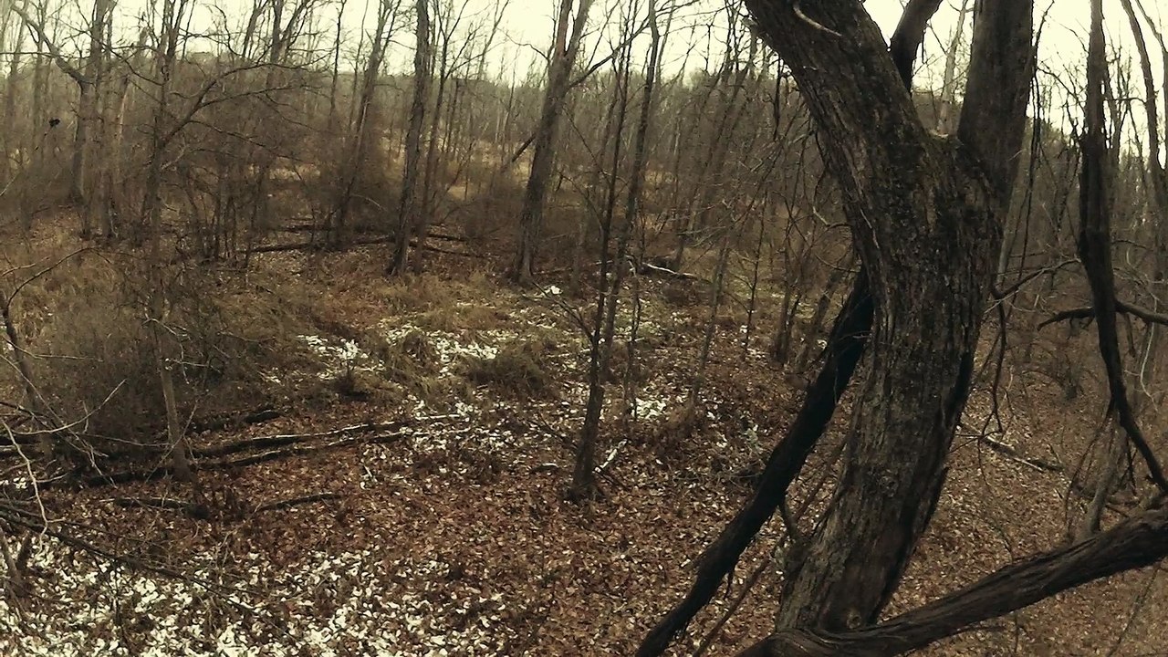 Shotgun 2013 Filter