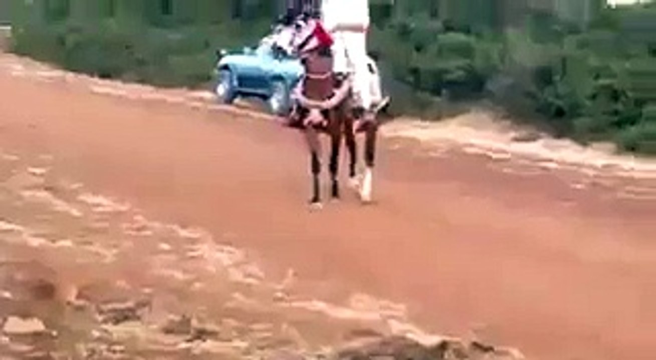 Fail Hourse Prank