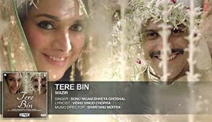 'TERE BIN' Full HD song  Wazir  Farhan Akhtar, Aditi Rao Hydari  Sonu Nigam, Shreya Ghoshal