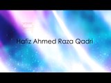 Hafiz Ahmed Raza Qadri - Hal E Dil Kis Ko Sunao - Mera Koi Nahi Hai Tere Siwa 2015