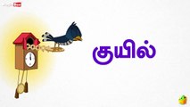 Cuckoo (குயில்) - Birds (பறவைகள்) - Learn Tamil Spelling (தம