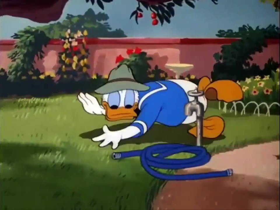 Donald Duck Chip and Dale - Donald Duck Cartoons Full Episodes HD