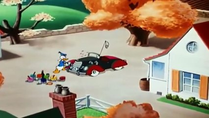 Bajki Dla Dzieci Po Polsku 2016 - Kaczor Donald I Chip Dale Po Polsku P1