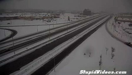 Snow Owl Videobombs Canadian Traffic Camera