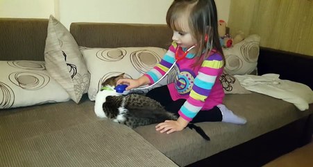 4 years old girl is playing doctor with cat