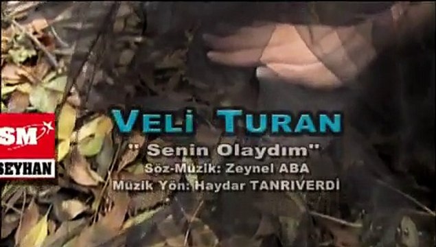 Veli Turan - Senin Olaydım