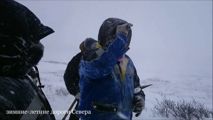 Северный дальнобой