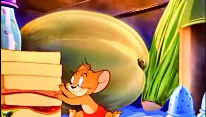 Tom and Jerry Cartoon - Smitten Kitten