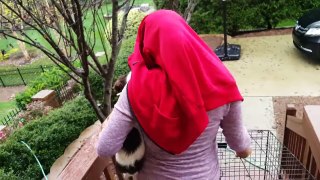 Dog with a VLOG #2! Rose Reunites   Meeting a Cat   Hide & Seek & Saying Goodbye (FUNnel Vision ☹)