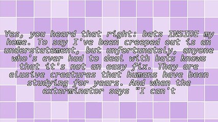 What I Learned About Digital Marketing From Having Bats In My Home