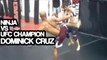 Man Claiming To Be A Ninja Challenges UFC Champion Dominick Cruz