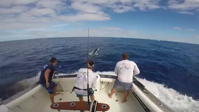 Un pêcheur chanceux évite de peu de se faire embrocher par un marlin