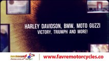 Middleburg FL. Harley-Davidson repairs | 904.733.3645 | Middleburg Florida.