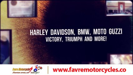 Middleburg FL. Harley-Davidson repairs | 904.733.3645 | Middleburg Florida.