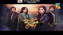 Tere Mere Beech Hum Tv Drama (Next Episode 8 Promo) on (11 January 2016)