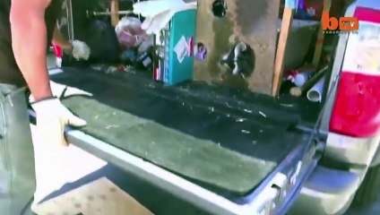 Cute Raccoon Freed From Drain Using Angle Grinder