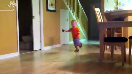 Cats Ruining Your Day