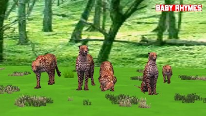 Cartoon Animals Finger Family Children Nursery Rhymes | Animals Finger Family Collection S