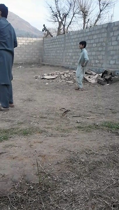 cricket dance