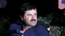 El Chapo's dreams of a 'Narcos'-like biopic led to his capture