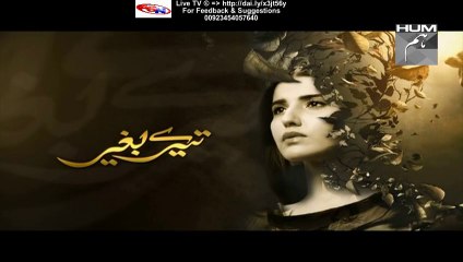 Tere Baghair Hum Tv Drama Episode 14 Full (20 January 2016)