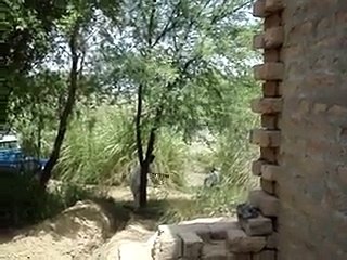 Solar tube well 4 inchs from miner cana- video by +92 03458881410