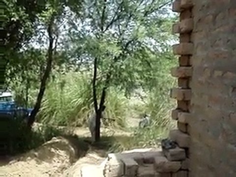 Solar tube well 4 inchs from miner cana- video by +92 03458881410