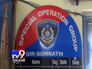 Gujarat police catch ‘spy’ pigeon near Veraval, Gir-Somnath - Tv9 Gujarati