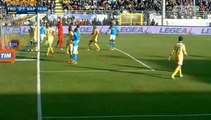 Albiol R. Goal - Frosinone 0 - 1 Napoli - 10-01-2016