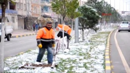 İslahiye'de Ağaçlar Dona Karşı Naylona Sarılıyor