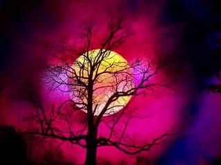 Ku Intai Cinta Dalam Rahsia - Jeslina Hashim