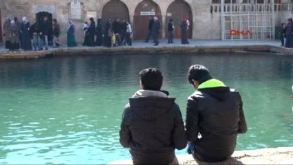 Şanlıurfa'da Kış Güneşi