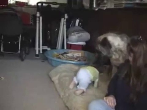 Ce gros chien adore faire rire ce bébé trop mignon