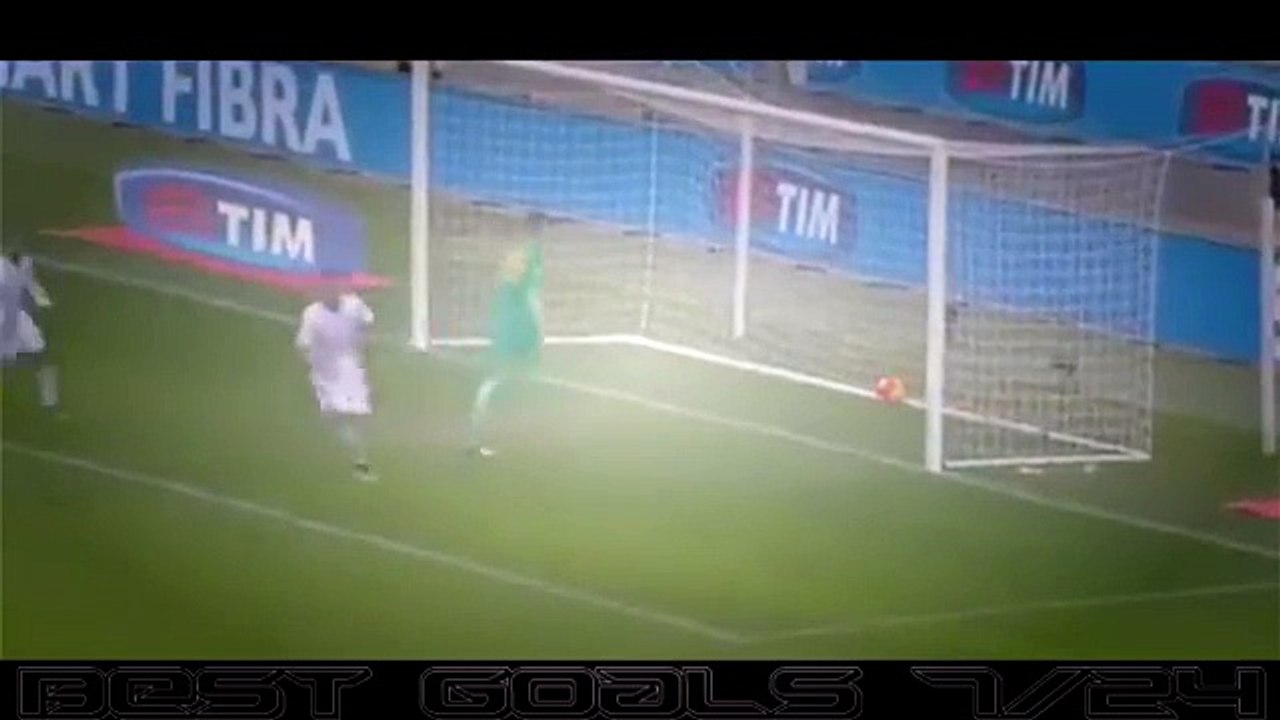 Verona vs Palermo (0-1) All Goals Highlight 10.01.2016