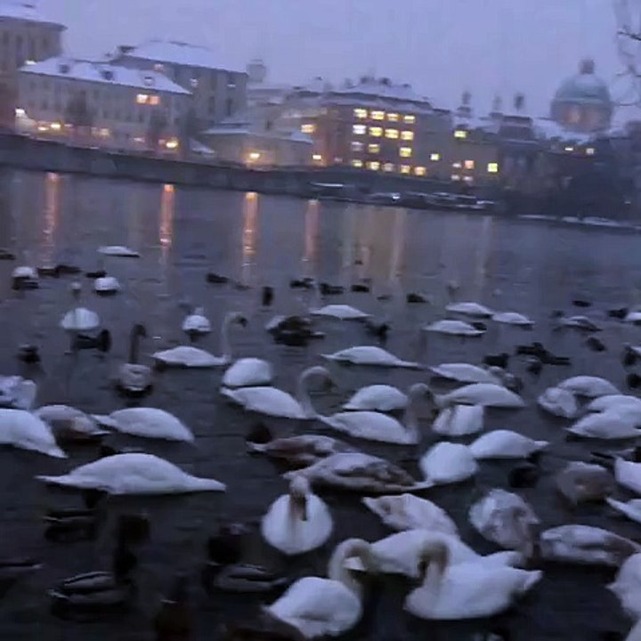 Danna Garcia en Praga