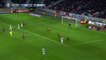 Goal Niklas Hult ~ Lille 1-1 Nice ~