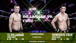 TJ DILLASHAW  X  DOMINICK CRUZ UFC FIGHT NIGHT  17/01/2016