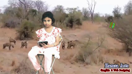 Hamza Arts Chroma Video Areeba