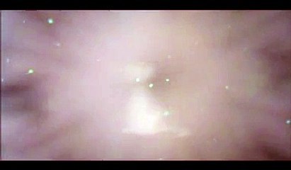 Pink Panther Cartoon Collection Part 01_35