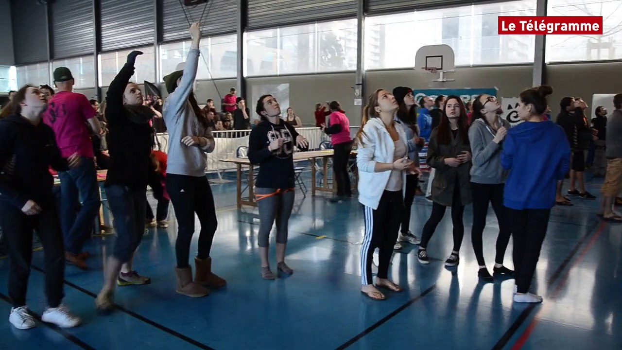 Saint-Brieuc. Championnat départemental d'escalade : 80 grimpeurs au pied du mur